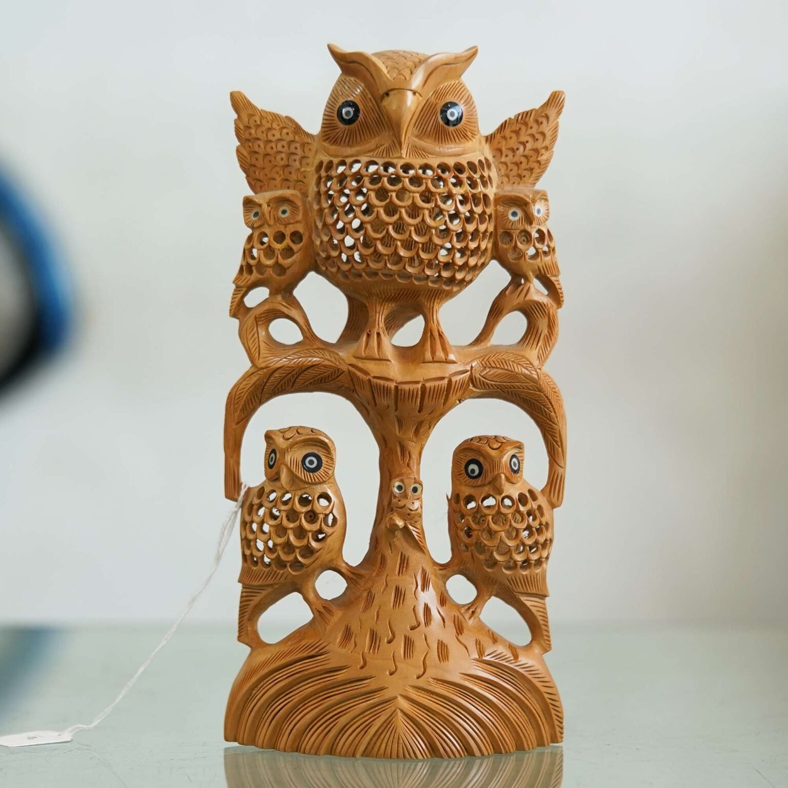 Chitran Product Photography